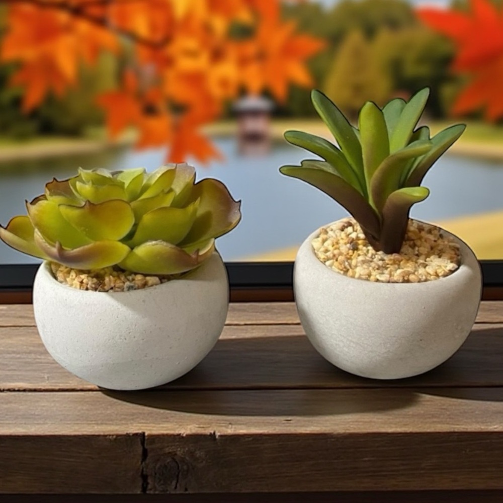 Artificial Succulent Plants in Cement Pots - Picture 3 of 8